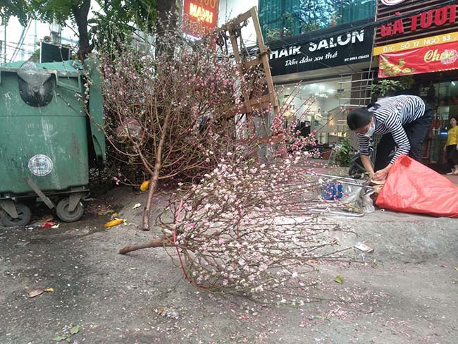 Do không thể nhét vào thùng rác, các cành đào bị vứt ngổn ngang ngoài đường.