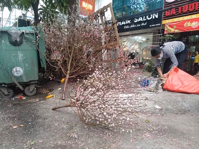 Do không thể nhét vào thùng rác, các cành đào bị vứt ngổn ngang ngoài đường.
