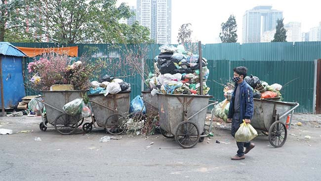 Xe rác nào cũng có nhiều cành đào.