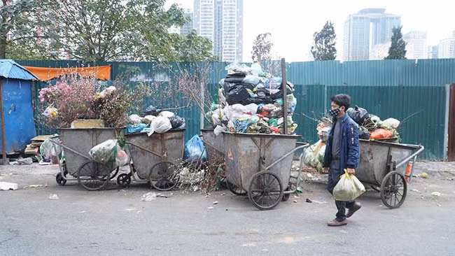 Xe rác nào cũng có nhiều cành đào.