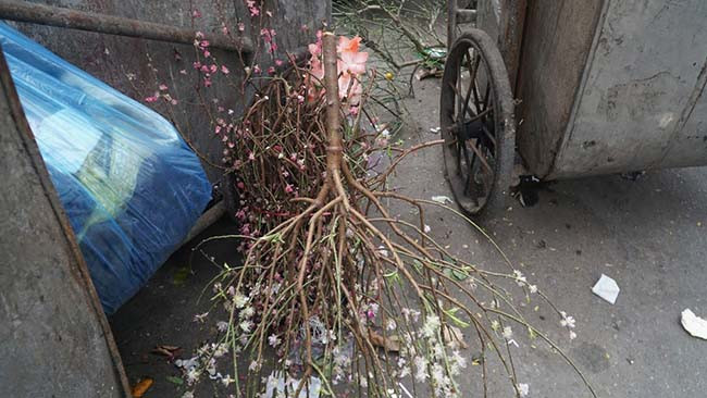Theo một lao công dọn vệ sinh cho hay, từ mùng 4 Tết trở đi họ khá vất vả, đủ các loại: nào là đào, quất, hoa... rất cồng kềnh, nên việc vận chuyển tốn nhiều công sức hơn.