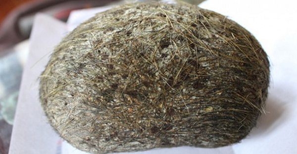 Nhiều người cho rằng Trư Sa có thể hỗ trợ điều trị các bệnh như an thần, động kinh, hốt hoảng lo âu, trị mất ngủ, hôn mê, thanh nhiệt, giải độc, tiêu đàm và nhiều tác dụng khác.