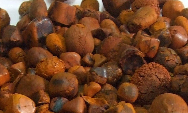 Công dụng chủ yếu của Hầu táo có thể thanh hóa được đàm nhiệt. Hễ ho khó thở do đàm nhiệt gây ra hoặc co giật động kinh thì nó là thuốc "Chuyên dược đặc hiệu", cũng còn thích hợp trong ung thư đàm hạch, mài với dấm xức vào.