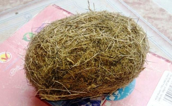 Cát lợn còn được gọi là Trư cát hoặc Trư sa cát lợn theo các nhà khoa học nó là một loại sỏi mật lành tính ở lợn được tích tụ theo thời gian. Đặc tính của Cát lợn là vị ngọt, tính mát, mùi thảo mộc có tác dụng đối với tâm và can được cho là có giá trị kinh tế, giá trị y học, chữa bệnh.