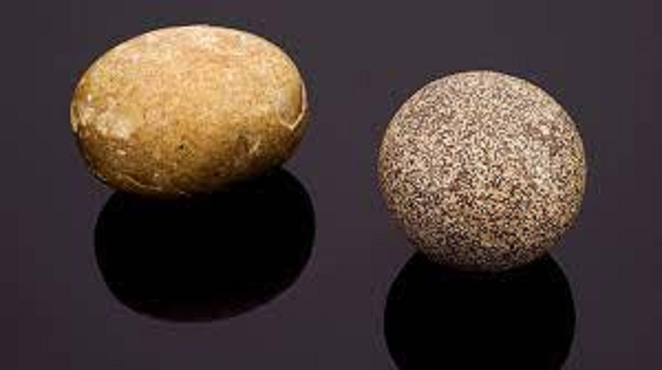 Bezoar hay sỏi trong dạ dày các động vật như hươu, linh dương, nhím, dê, bò đực, lạc đà không bướu, hình thành từ những viên đá nhỏ hoặc chất xơ bị mắc kẹt trong đường tiêu hóa. Qua thời gian, chúng được các lớp canxi và magie phosphat trong dạ dày bao phủ xung quanh, như cơ chế hình thành ngọc trai.