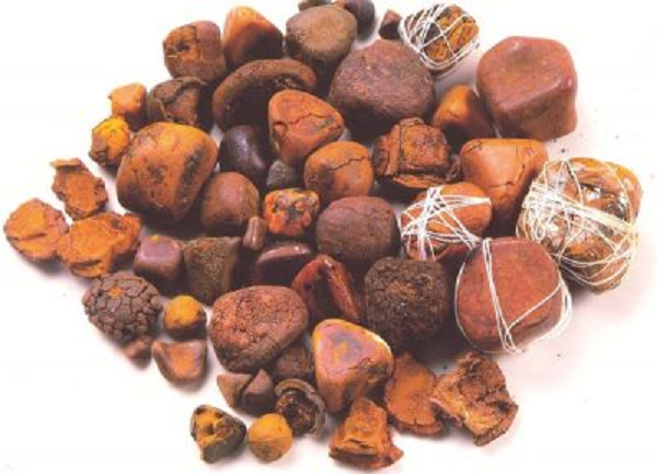 Thuốc có vị mặn, tính ấm, chữa các chứng phản vị thuộc chứng vị hư hàn, người bệnh nghẹn tắc, khó ăn uống hoặc ăn xong lại nôn ra, bụng trướng đầy, tiêu hóa kém.