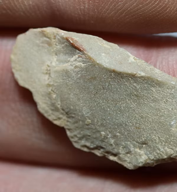 Không có dấu vết của xương người hoặc ADN được tìm thấy ở hang động này. Nghiên cứu trên kết luận: “Nhiều khả năng người xưa đã sử dụng nơi này một cách tương đối thường xuyên, có thể theo mùa trong các chu kỳ di cư”.