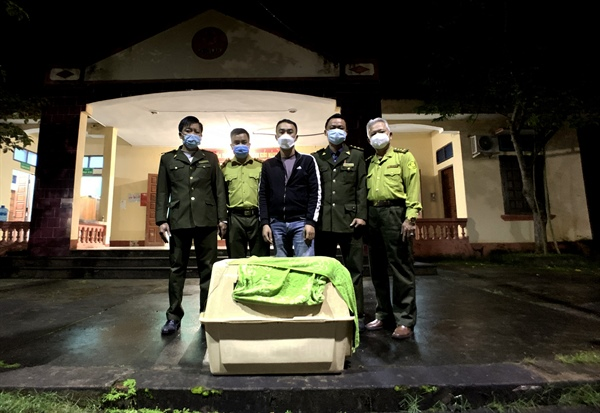 Ngay khi nhận được thông báo của Hạt Kiểm lâm huyện Lang Chánh và Chi cục Kiểm lâm tỉnh Thanh Hóa về việc có người dân giao nộp 2 mẹ con Voọc Xám quý hiếm, Đội Cứu hộ của Chương tình Cứu hộ Linh trưởng nguy cấp (EPRC) đã cấp tốc lên đường.