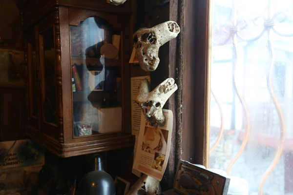 Đức Quốc xã từ lâu được cho là đã tìm kiếm những hài cốt và bản thảo cổ đại của người ngoài hành tinh với hy vọng có thể tiếp cận với công nghệ tiên tiến của người ngoài hành tinh để có thể đã giúp ích cho nỗ lực chiến tranh của họ.