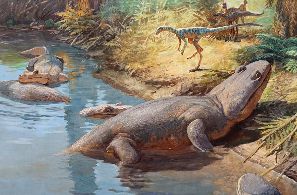 Sau cuộc đại tuyệt chủng Permi, Trái Đất bước vào thời kỳ thống trị của khủng long, đồng thời còn có thêm sự tồn tại của các loài động vật có vú cỡ nhỏ, trong đó có tổ tiên loài người.