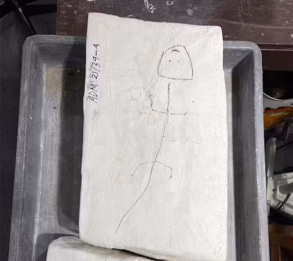 Kết quả phân tích sơ bộ của nhóm nghiên cứu cho thấy sinh vật bí ẩn đã 290 triệu tuổi, thuộc kỷ Permi.