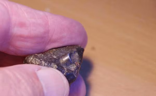 NWA 869 đến từ một cánh đồng lớn và là thiên thạch thứ 869 được phát hiện ở Tây Bắc Phi. Khi David đang xử lý NWA 869, ông đột nhiên nhận thấy ánh kim loại.