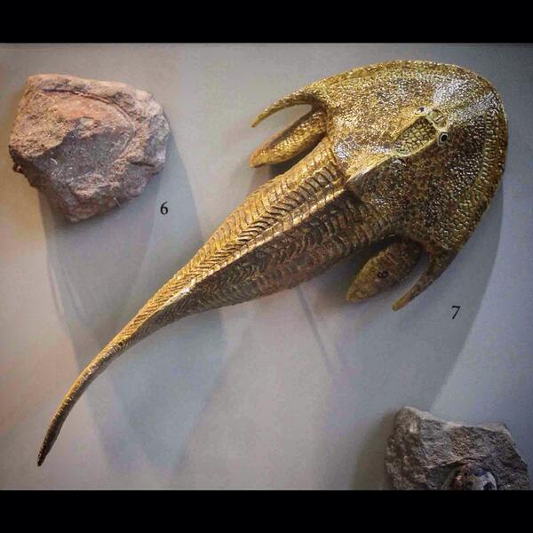 Thời kỳ này được đánh dấu bởi hoạt động lớn của các mảng kiến tạo. Có một số lần chạm đất đã hình thành các siêu lục địa mới như sự hình thành Laurasia. Siêu lục địa được biết đến với cái tên Gondwana cũng được hình thành và duy trì.