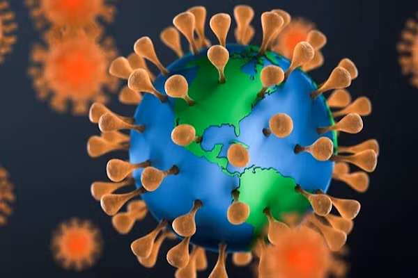 Việc nhận dạng các động vật khác có thể thích nghi để chung sống với virus corona có ý nghĩa quan trọng đối với việc nhận biết những ổ virus tiềm năng có thể lây lan mầm bệnh mới cho con người.