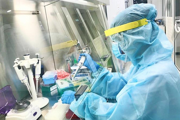 Mới đây, một loại virus corona mới có khả năng bắt nguồn từ loài chó được phát hiện lây nhiễm sang người ở Malaysia và Haiti.