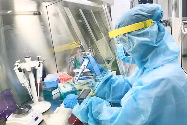 Mới đây, một loại virus corona mới có khả năng bắt nguồn từ loài chó được phát hiện lây nhiễm sang người ở Malaysia và Haiti.