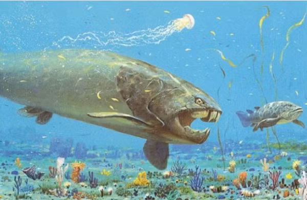 Nhưng điều đó cũng không có nghĩa bụi ngoài hành tinh không ảnh hưởng đến Trái Đất. Tiến sĩ Rasmussen khẳng định bụi từ vụ va chạm cổ đại không những không kích hoạt bùng nổ sinh học mà còn trở thành phanh hãm cho sự tiến hóa của các loài. Vì vậy thứ gì đã sinh ra loạt sinh vật cổ quái thời kỳ Ordovic vẫn là một câu đố cần nghiên cứu thêm.