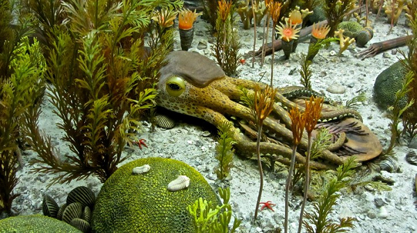 Nhóm nghiên cứu cho rằng, nguyên nhân dẫn đến kỷ băng hà này là sự thay đổi của quỹ đạo Trái Đất - hình elip trở nên thuôn dài hơn một tí - kết hợp với sự thay đổi độ nghiêng trục, một điều rất hay xảy ra.