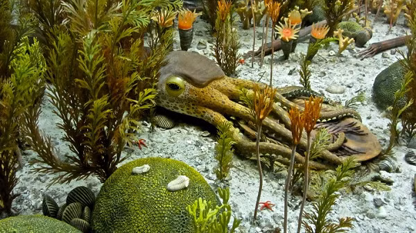 Nhóm nghiên cứu cho rằng, nguyên nhân dẫn đến kỷ băng hà này là sự thay đổi của quỹ đạo Trái Đất - hình elip trở nên thuôn dài hơn một tí - kết hợp với sự thay đổi độ nghiêng trục, một điều rất hay xảy ra.