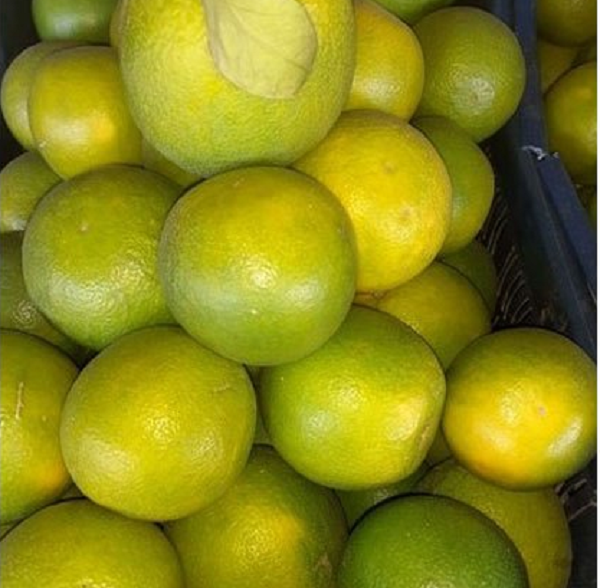 Tuy vỏ vẫn còn xanh nhưng thịt bên trong đã chín, vỏ không quá dày lại dễ bóc, phần thịt vàng bên trong ăn vào miệng có vị ngọt thanh, được nhận xét là vô cùng ngon miệng.