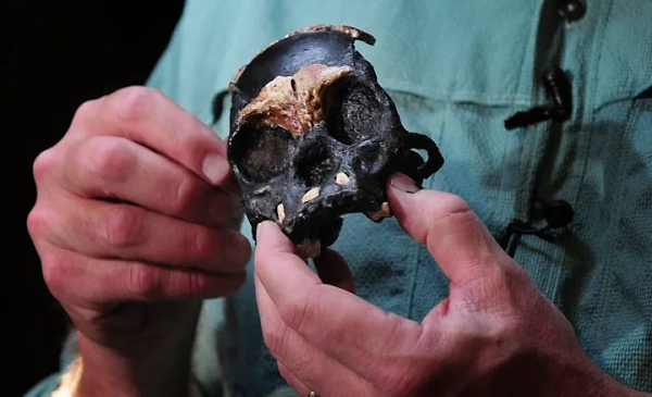Gọi Homo naledi là "loài người ma" bởi các mảnh hài cốt từng được tìm thấy từ họ rất nhỏ và không chứa đựng nhiều thông tin, khó dùng để mô tả đầy đủ về nhân dạng, nhất là khi không có hộp sọ.
