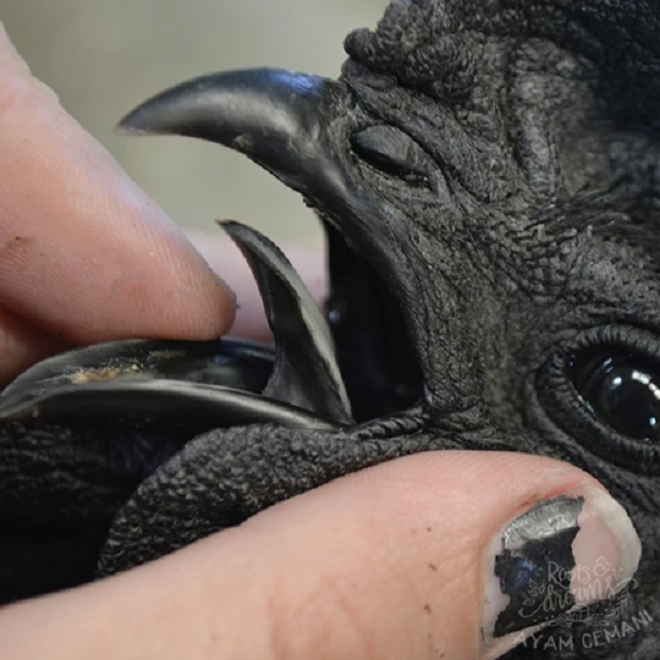 Trên thực tế, loài gà này rất khó đẻ trứng. Một năm, chúng chỉ đẻ khoảng 80 quả. Nhờ ngoại hình và chất lượng thịt thơm ngon được nhiều người săn đón cũng khiến giá thành bị đẩy lên.