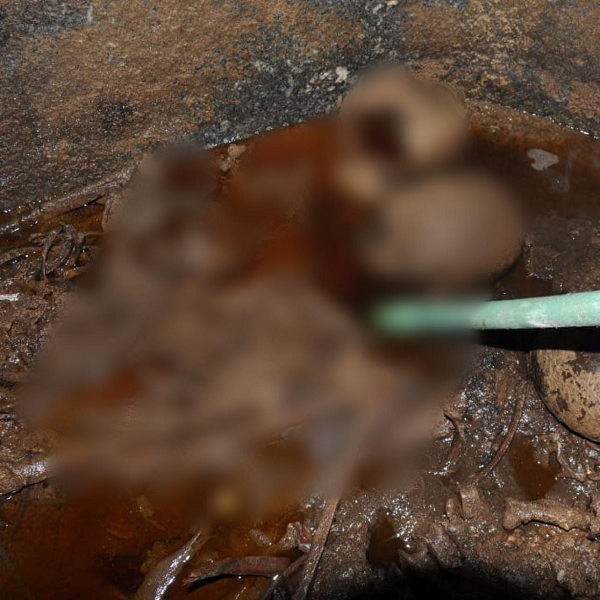 Lý giải cho việc nước bên trong quan tài có màu đỏ, các nhà khoa học cho rằng do nó bị hở nên nước ngầm từ bên ngoài tràn vào.