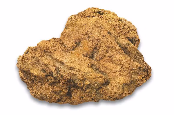 Kim loại này có ở dạng quặng hoặc hạt trong đá và trong các mỏ bồi tích và là một trong số kim loại đúc tiền. Vàng được dùng làm một tiêu chuẩn tiền tệ ở nhiều nước và cũng được sử dụng trong các ngành trang sức, nha khoa và điện tử. Mã tiền tệ ISO của nó là XAU.