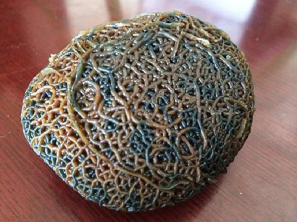 Trong quá trình đó, có vô số bong bóng được tạo ra, khi gặp lạnh, các bọt khí bị bịt kín đã tạo thành nhiều lỗ nhỏ trên bề mặt viên đá nên chúng mới có hình dáng độc đáo như thế.