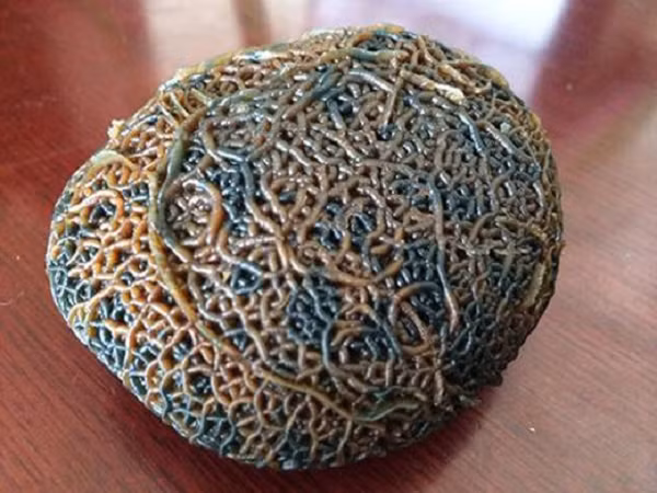 Trong quá trình đó, có vô số bong bóng được tạo ra, khi gặp lạnh, các bọt khí bị bịt kín đã tạo thành nhiều lỗ nhỏ trên bề mặt viên đá nên chúng mới có hình dáng độc đáo như thế.