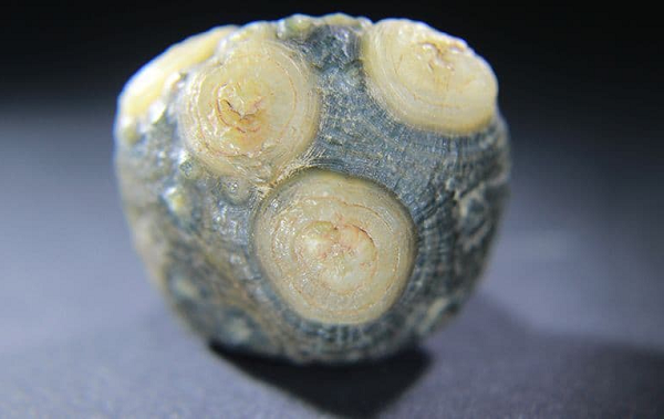 Các nhà khoa học đánh giá mã não Gobi cực kỳ khan hiếm, có sản lượng ít và là nguồn tài nguyên không thể tái tạo nên giá thành rất cao.