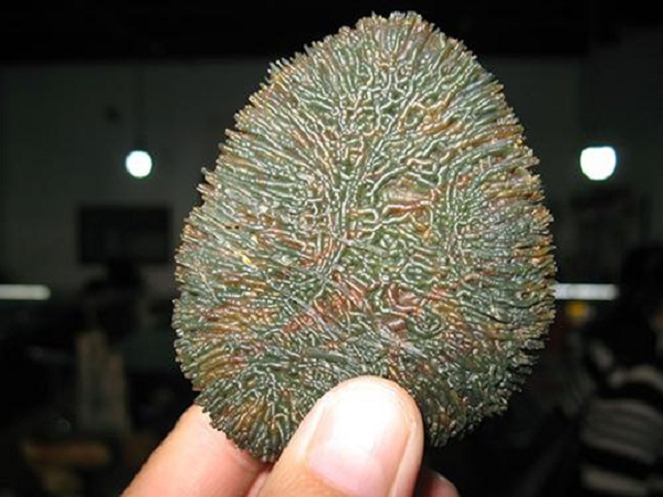 Đá mã não Gobi được hình thành từ khoảng hàng trăm triệu năm trước khi dung nham dưới lòng đất phun ra một lượng lớn do sự thay đổi của vỏ trái đất.