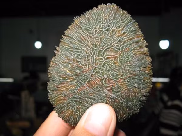 Đá mã não Gobi được hình thành từ khoảng hàng trăm triệu năm trước khi dung nham dưới lòng đất phun ra một lượng lớn do sự thay đổi của vỏ trái đất.