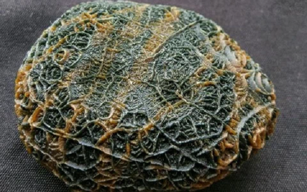 Càng nhìn, anh ta càng cảm thấy viên đá này giống đá quý nên đã liên hệ với chuyên gia về các loại đá nhờ kiểm định. Vị chuyên gia xác nhận viên đá này thực sự là một loại đá mã não chỉ có tại sa mạc, thường được gọi là mã não Gobi.