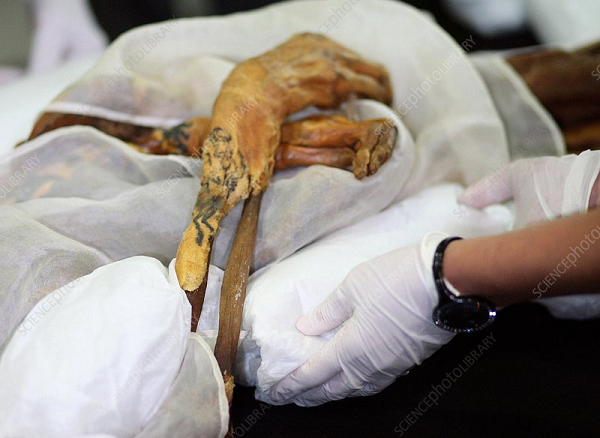 Năm 2001, một phi công đến thành phố và tuyên bố rằng sẽ có một trận động đất vào ngày công chúa được đào lên, nhưng không ai tin anh chàng này.