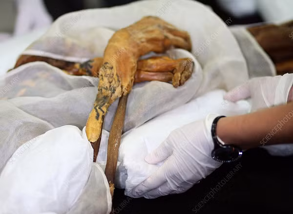 Năm 2001, một phi công đến thành phố và tuyên bố rằng sẽ có một trận động đất vào ngày công chúa được đào lên, nhưng không ai tin anh chàng này.