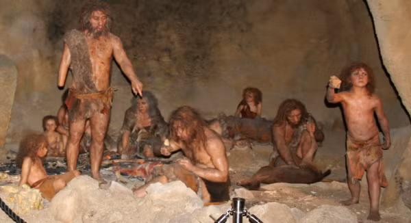 Những nghiên cứu trước cũng chỉ ra người Neanderthals là một "siêu nhân" với cơ thể rắn chắc bẩm sinh như các cầu thủ bóng bầu dục, bơi lội như người cá, săn bắn điêu luyện và nhiều kỹ năng như dệt sợi, đan lưới có thể còn phát triển sớm hơn cả con người.