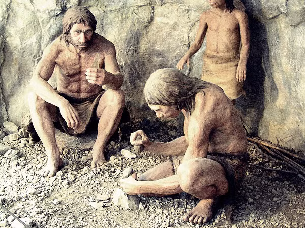 Dù có bộ não lớn hơn nhưng không có nghĩa người Neanderthals thông minh hơn người hiện đại. Bộ não của họ và những loài người đã tuyệt chủng khác thiếu hẳn gene đặc biệt quyết định khả năng tổ chức xã hội chặt chẽ và khả năng thích nghi cao.