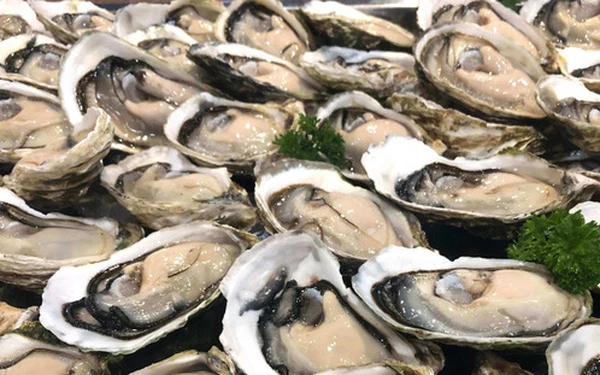 Ngọc trai là kết quả của một quá trình sinh học và là cơ chế tự bảo vệ của hàu khỏi các chất lạ xâm nhập vào. Hầu hết ngọc trai đều được sản xuất trong cả môi trường nước mặn lẫn nước ngọt.