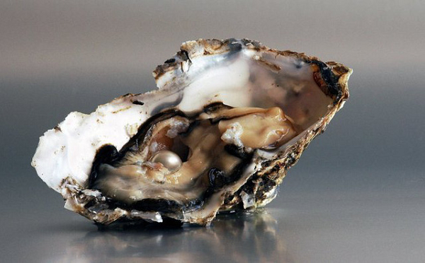 Câu trả lời của bếp trưởng Sandy Ingber có thể khiến nhiều người ngạc nhiên, đó là trong suốt 28 năm ông ấy làm việc tại Grand Central Oyster Bar, đây mới là lần thứ hai điều may mắn này xảy ra.