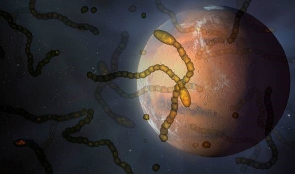 Sự việc đã xảy ra từ năm 2016, và ban đầu được cho là kém quan trọng bởi đó chưa phải là bằng chứng trực tiếp của sự sống trên sao Hoả. Nhưng sau một thời gian đánh giá, mới đây các nhà khoa học NASA quyết định công bố điều này.