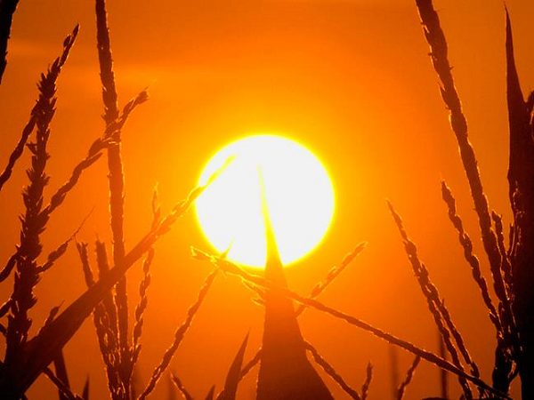 Tuy nhiên, việc phá vỡ mức giới hạn đó không phải là điều khiến cộng đồng khoa học gia lo lắng, mà mấu chốt chính là các điểm tới hạn về khí hậu.