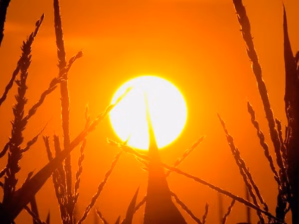 Tuy nhiên, việc phá vỡ mức giới hạn đó không phải là điều khiến cộng đồng khoa học gia lo lắng, mà mấu chốt chính là các điểm tới hạn về khí hậu.