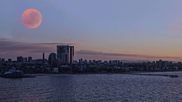 Abhigya Anand cũng tin rằng nếu một số công ty bất động sản tiếp tục sử dụng tư duy truyền thống, họ chắc chắn sẽ chịu “tác động rất lớn”, nhưng nếu họ có thể cố gắng đa dạng hóa hoạt động hoặc tổ chức lại cơ cấu đầu tư vào thời điểm này, họ nhất định sẽ thu được thành công, và ít nhất họ có thể vượt qua những khó khăn.