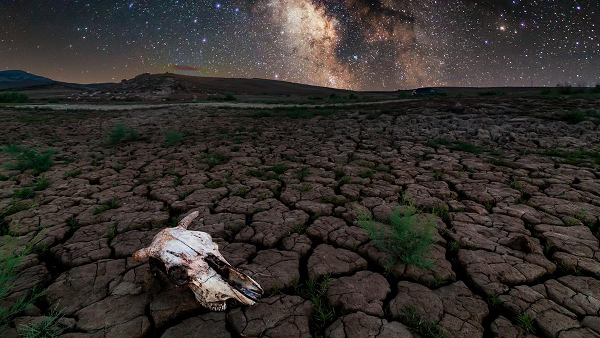 Do cách xa tới 12 tỉ năm ánh sáng nên hình ảnh về thiên hà này cũng mất chừng đó thời gian để "bay" đến Trái Đất và được đài thiên văn ALMA thu lấy.