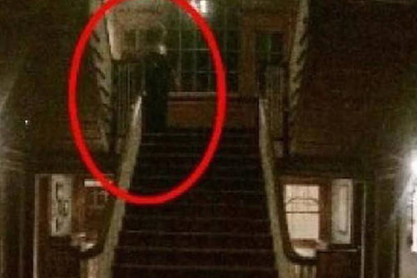 "Tôi nhận thấy những trải nghiệm này đôi lúc có thể chữa lành vết thương lòng, chẳng hạn như khi bạn nghe thấy người thân xin lỗi chuyện đã qua, nhưng lúc khác lại khuấy động nỗi đau thương và sự mất mát", Hayes cho biết thêm.