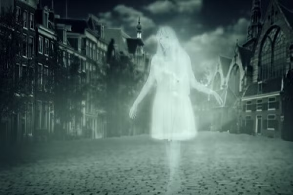 Sau khi xem xét tất cả nghiên cứu bằng tiếng Anh xuất bản trước đây về đề tài này, các nhà nghiên cứu cho biết các bằng chứng chỉ ra mức độ phổ biến cao của PBHE - từ 30 đến 60 % - ở những đối tượng góa bụa, cho thấy có một sự nhất quán đối với hiện tượng này.