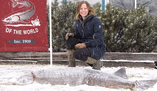 Ông Steven Boettcher, đạo diễn chương trình tài liệu The Frozen Chosen: Extreme Ice Fishing cho biết. “Đây là nơi duy nhất trên thế giới bạn có thể săn cá tầm và người dân ở đây có rất nhiều niềm đam mê dành cho nó".