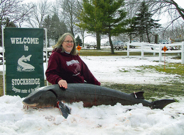 Đến năm 1915, chúng đứng trên bờ vực tuyệt chủng, cho đến khi bang Wisconsin thông qua luật cấm đánh bắt chúng. Luật đó chỉ được nới lỏng khi loài cá trở thành nguồn thực phẩm thiết yếu trong thời kỳ đại suy thoái.