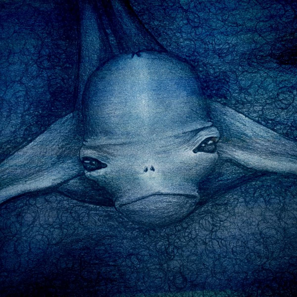 Đồng quan điểm này, tiến sĩ Shinzi Nakamura thuộc trường ĐH Tokyo cũng bày tỏ những mối nghi ngờ về sự liên quan giữa quái vật Ningen được phát hiện với loài cá voi trắng khổng lồ. “Do điều kiện sống, cũng như sự biến đổi của môi trường đã khiến một vài cá thể mang trong mình những đột biến gen và điều này đã làm cho những cá thể đó đặc biệt nổi tiếng khi được phát hiện”.